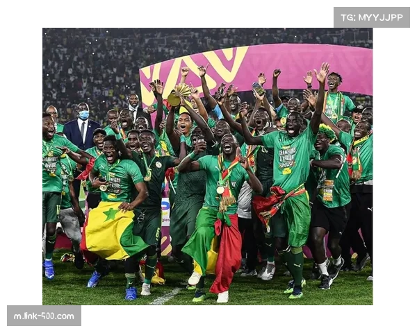 非洲杯赛场引入半自动越位识别系统,科技助力判罚更精准 非洲杯赛场引入半自动越位识别系统,科技助力判罚更精准